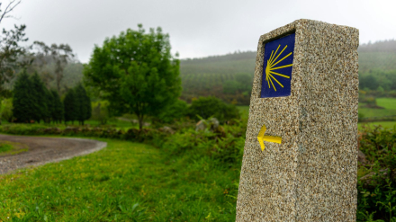 Las maravillas de Galícia en mini camper. Pilona del Camino de Santiago con flecha amarilla y concha en sendero verde.