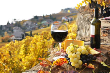 Copa de vino, uvas y queso al atardecer con viñedos y un pueblo al fondo.