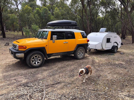 Viajar en minicaravana con mascota