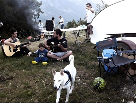 Viajar en minicaravana con mascota
