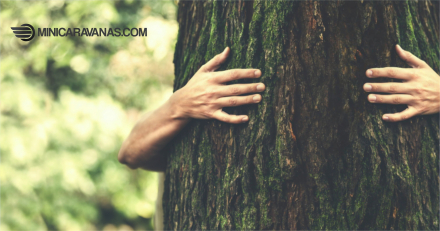Minicaravanas y naturaleza