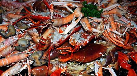 Las maravillas de Galícia en mini camper - Mariscada gallega