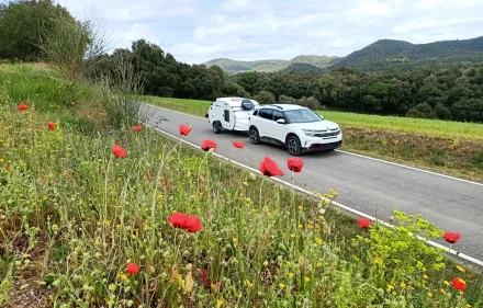 Planes ideales para tu mini caravana