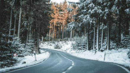 Carretera entre un bosque nevado en plena montaña