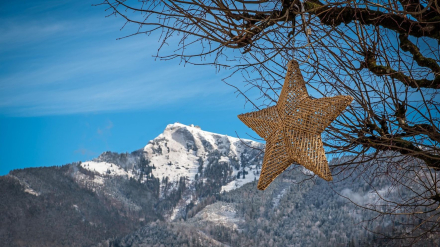 Una estrella rústica colgada de un árbol con paisaje nevado al fondo