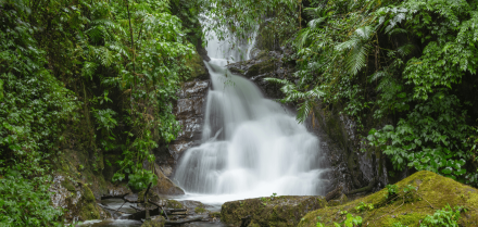 Minicaravanas