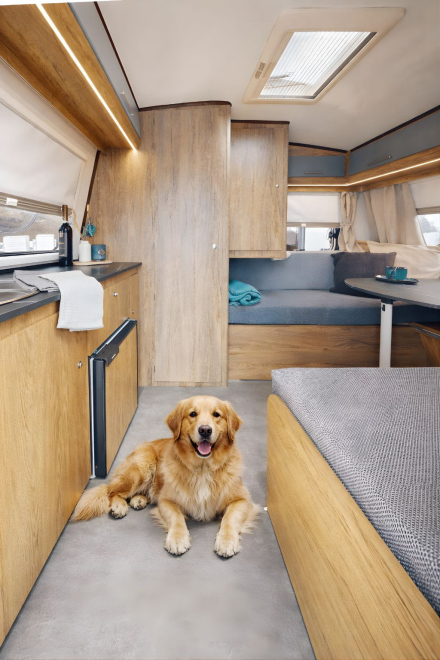 Minicaravana MICRAVAN Petfriendly Perro